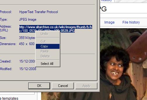IE2.JPG