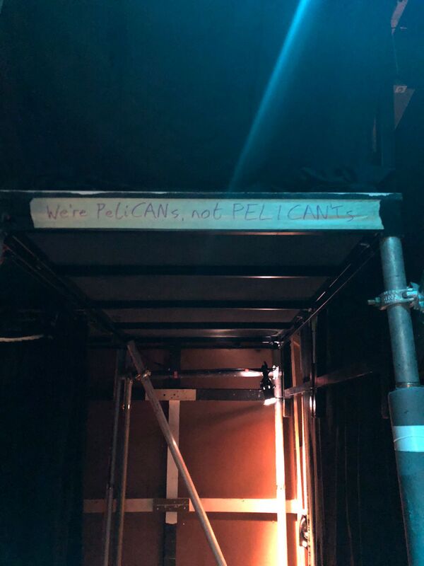 A line from the play "We're Pelicans, not Pelican'ts", was set backstage